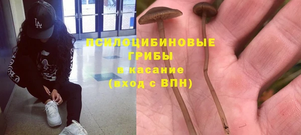 стафф Армянск