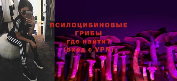 мет Аркадак