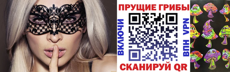дарк нет состав купить Пестово Псилоцибиновые грибы мухоморы